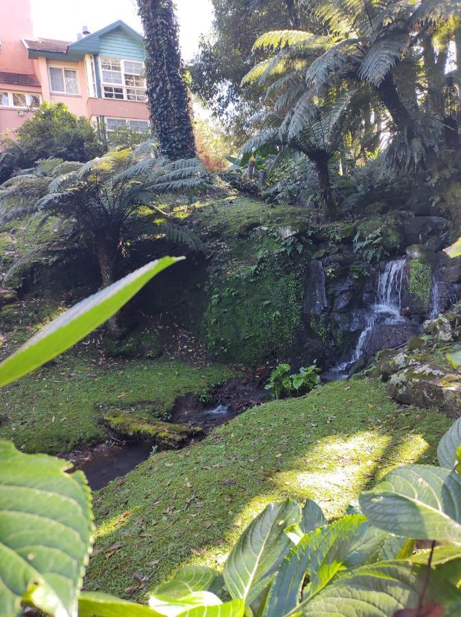 Agradavel 2quartos Familia Prox Ao Negro - 4 Min Do Centro- Com Churrasqueira